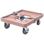 Camcarriers ve Camtainers İçin 46x63,5 cm