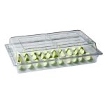 Polikarbon Gıda Kabı