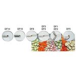 8 Bölmeli Camrack Basket 25,7 cm