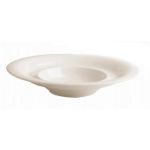 Porselen Alumilite Gurme Tabağı 31Cm  