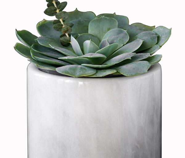 Buz Kovası / Saksı