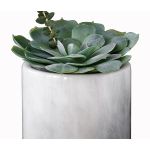 Buz Kovası / Saksı