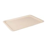 Kırçıllı Servis Tepsisi 37x53 cm