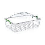 Elite Fanus Kapaklı Gıda Kabı