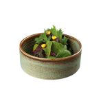 Bonna Coral Joker Kase 13 cm