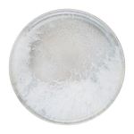 Porser Surf Mesa Pizza Tabağı 31 cm