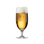 67006 Primeur Bira Bardağı