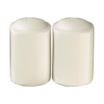 Porselen Ska Tuzluk & Biberlik