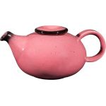 Balık Kılçık Cımbızı (Bkc-01)