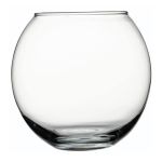 43427 Botanica Cam Fanus / Vazo