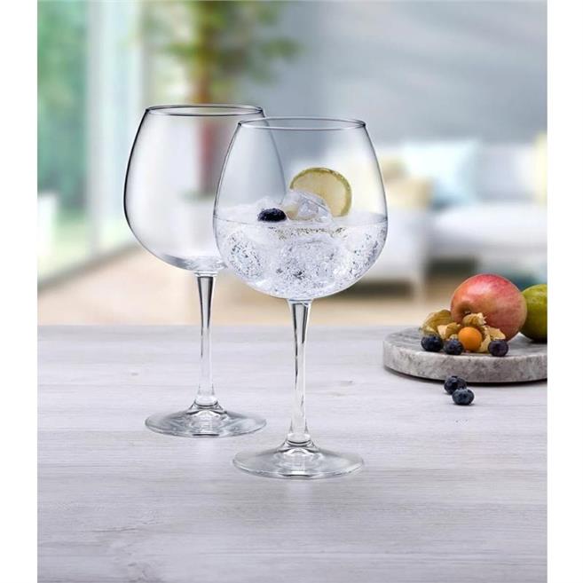 66122 Vintage Polyvalent Şarap Kadehi