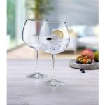 66122 Vintage Polyvalent Şarap Kadehi