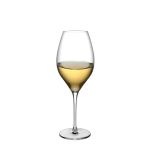 66089 Vinifera Beyaz Şarap Kadehi