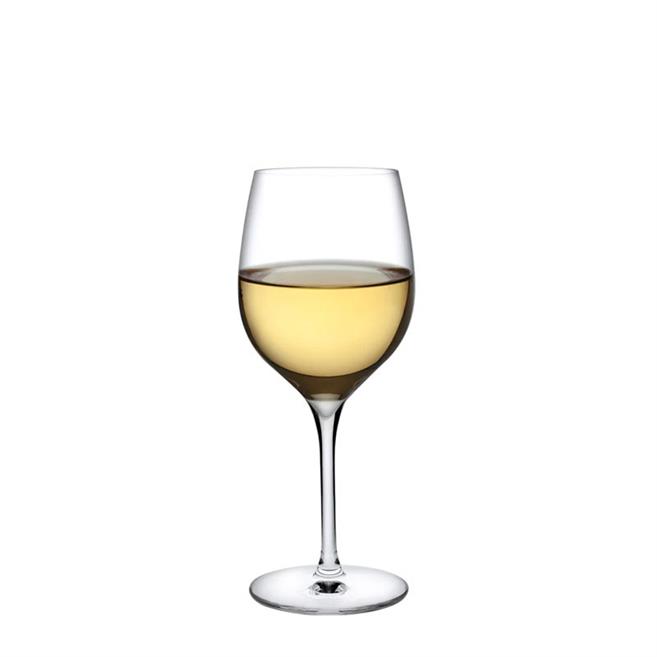 66097 Terroir Beyaz Şarap Kadehi