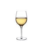 66097 Terroir Beyaz Şarap Kadehi