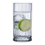 68194 Wayne Highball Bardağı