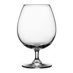 44825 Charente Konyak Bardağı