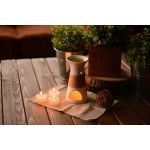 Ligate 8 Parça Koku Seti