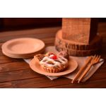 Veni 10'lu Çok Kullan At Tabak Küçük