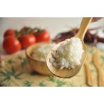 Fonkashi Oval Spatula