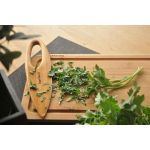 Gaas Maydanoz Bıçağı