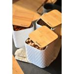 Tendon 3'lü Saklama Kabı